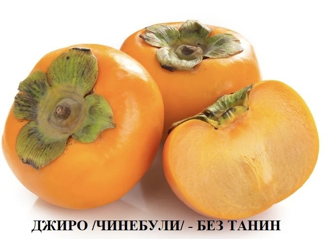 РАЙСКА ЯБЪЛКА