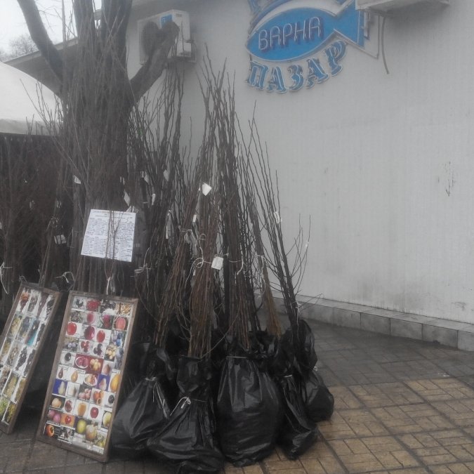 ГАЛЕРИЯ