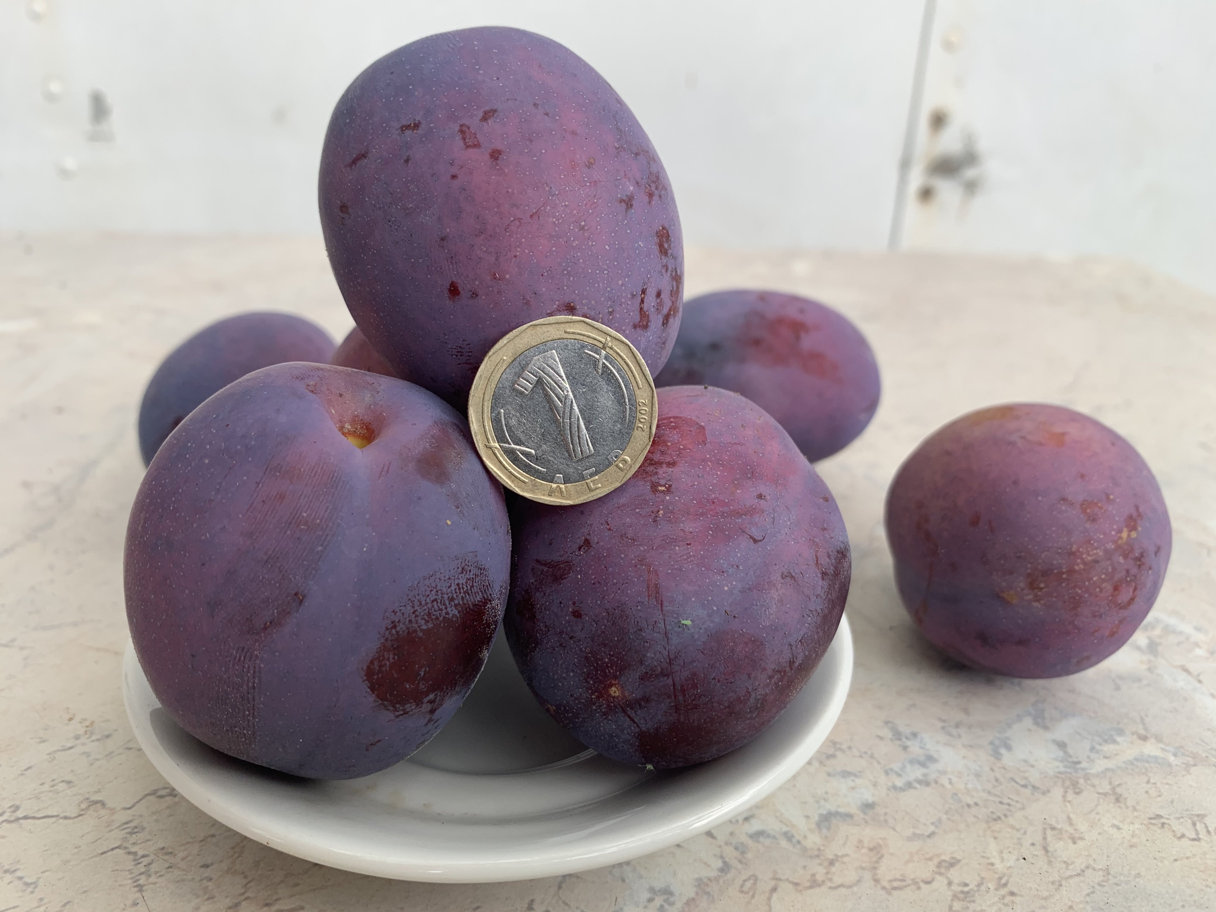 СЛИВИ