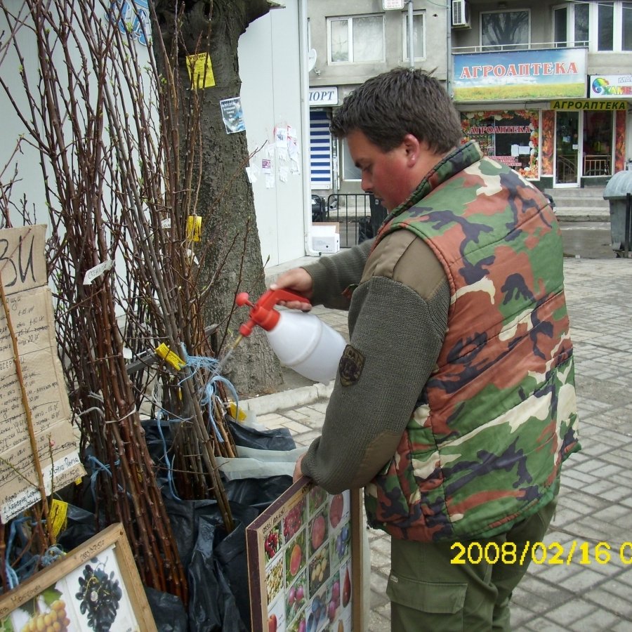 ГАЛЕРИЯ