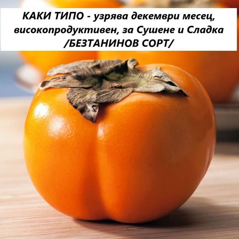 РАЙСКА ЯБЪЛКА