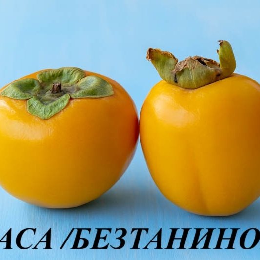 РАЙСКА ЯБЪЛКА