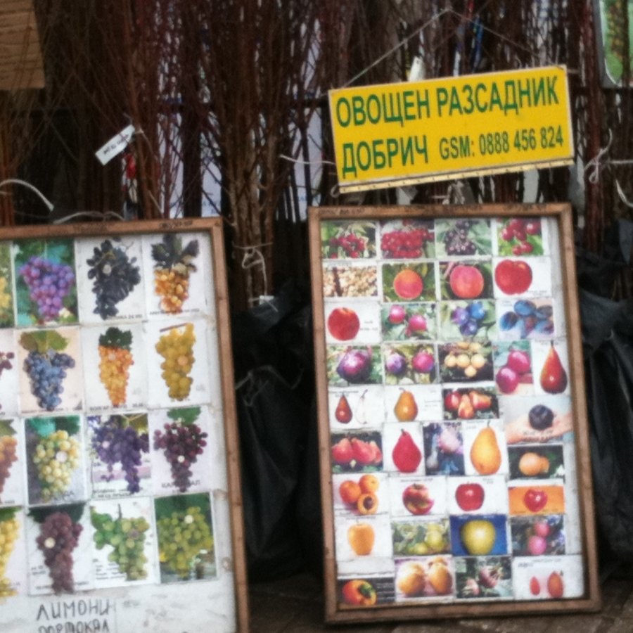 ГАЛЕРИЯ