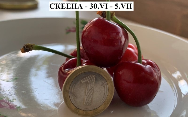 Череша СКЕЕНА