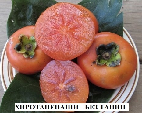 РАЙСКА ЯБЪЛКА