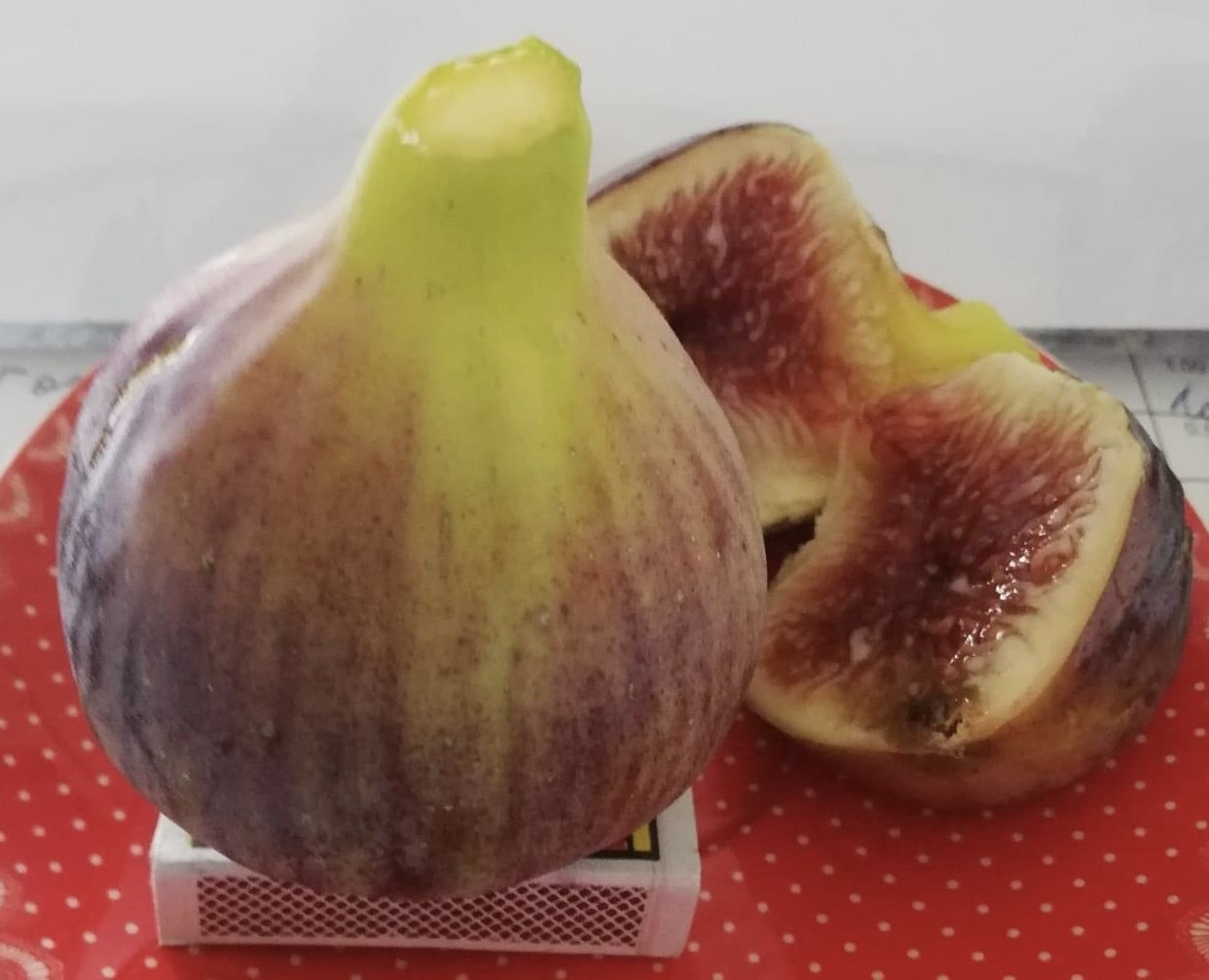 СМОКИНЯ БЛЕК МИШЪН