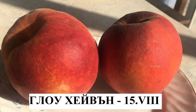 ГЛОУХЕЙВЪН