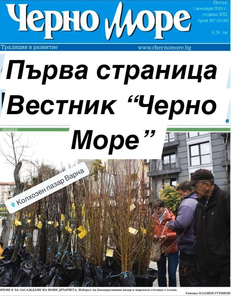 ГАЛЕРИЯ