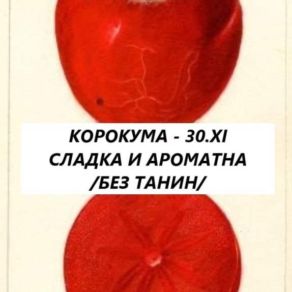 РАЙСКА ЯБЪЛКА