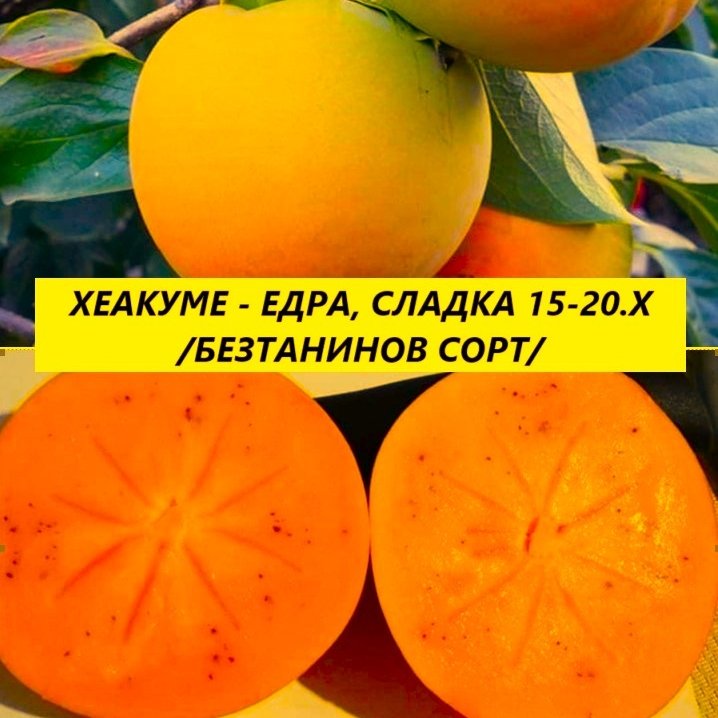 РАЙСКА ЯБЪЛКА