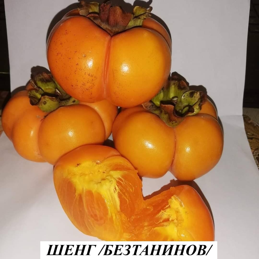 РАЙСКА ЯБЪЛКА