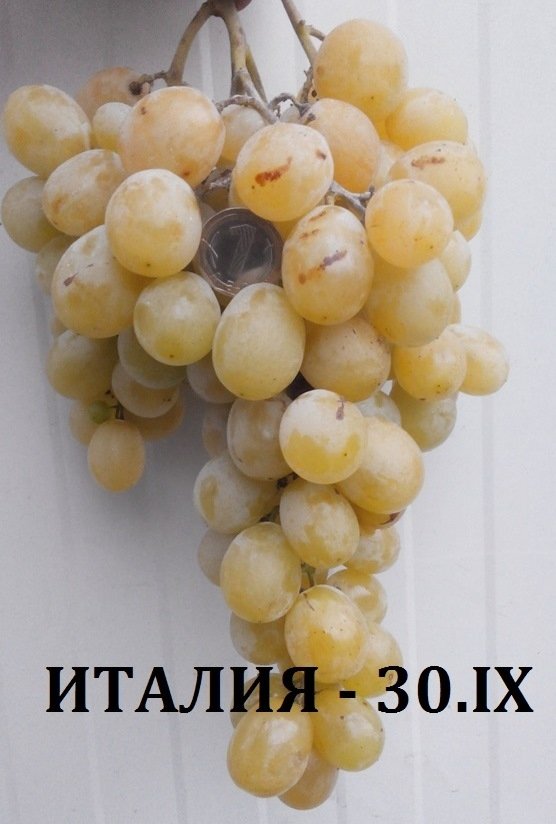 ДЕСЕРТНИ