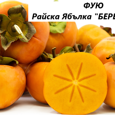 РАЙСКА ЯБЪЛКА