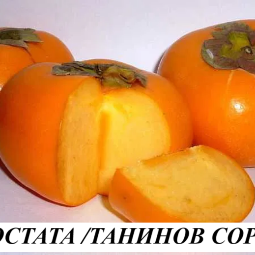РАЙСКА ЯБЪЛКА