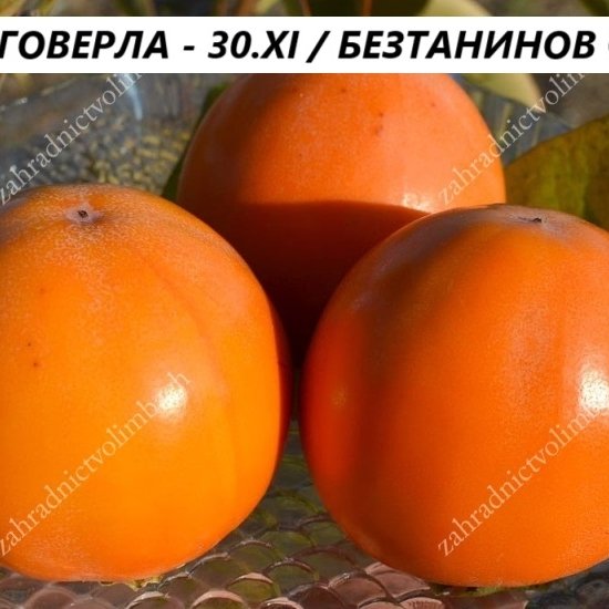 РАЙСКА ЯБЪЛКА