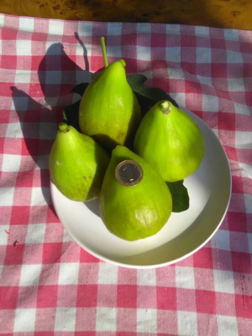СМОКИНИ, МАЛИНИ