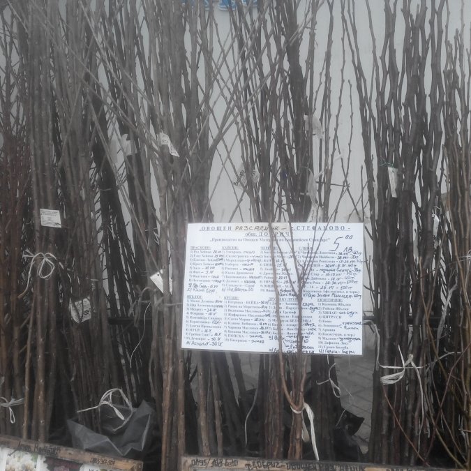ГАЛЕРИЯ