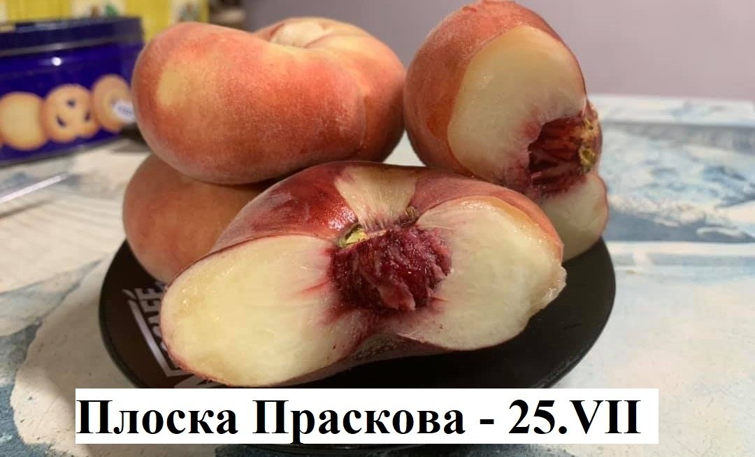 ПРАСКОВИ