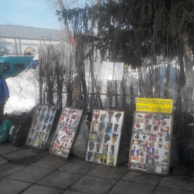 ГАЛЕРИЯ