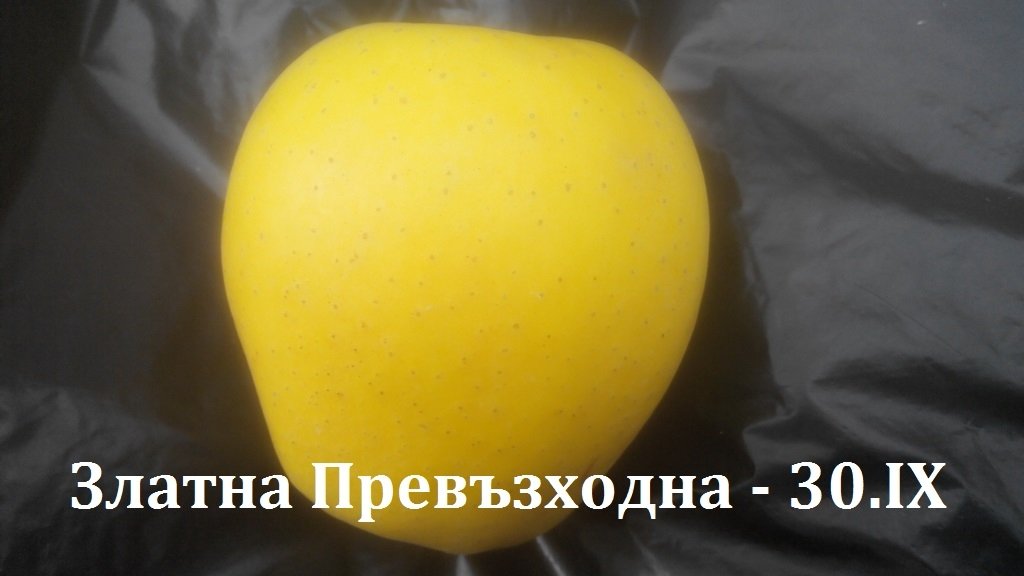 ЯБЪЛКИ