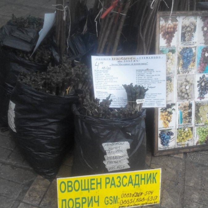 ГАЛЕРИЯ