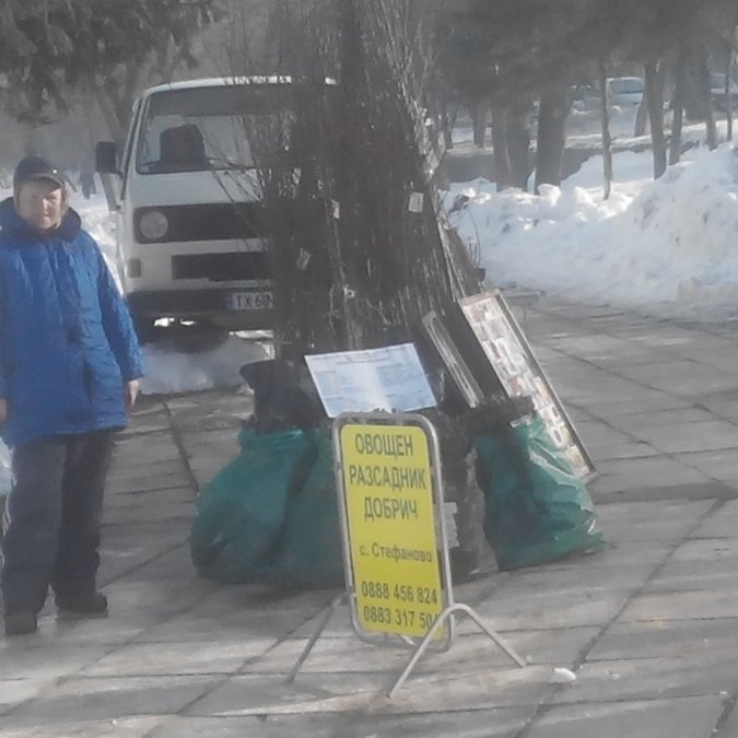 ГАЛЕРИЯ
