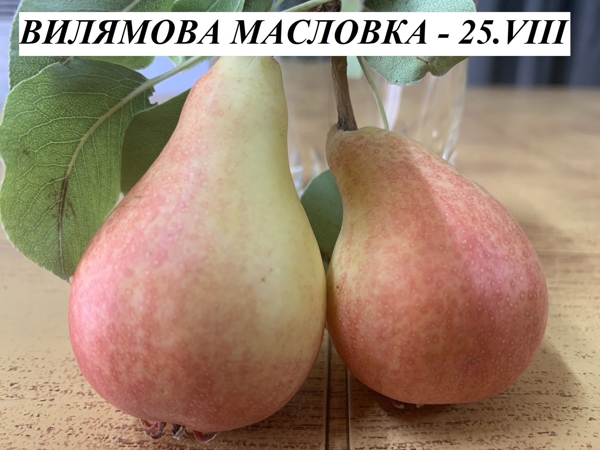 КРУШИ