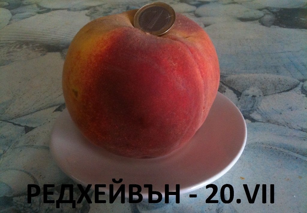 ПРАСКОВИ