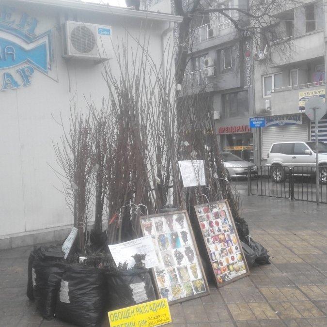 ГАЛЕРИЯ