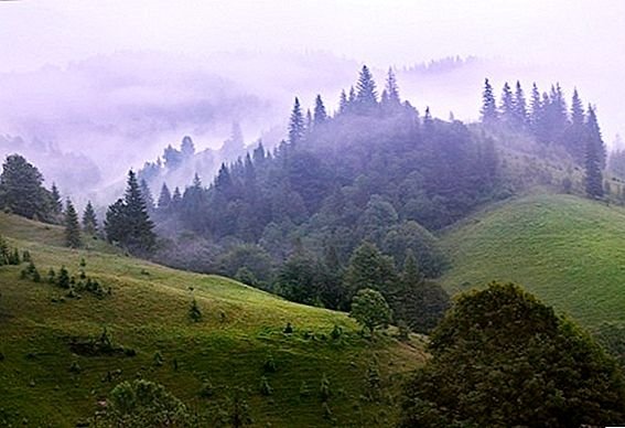 Румъния