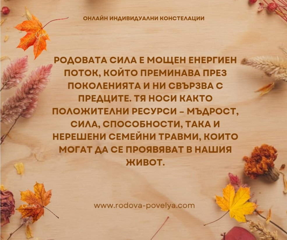 МАТРИЦА НА СЕМЕЙНАТА СИСТЕМА | Атанаска Баджева