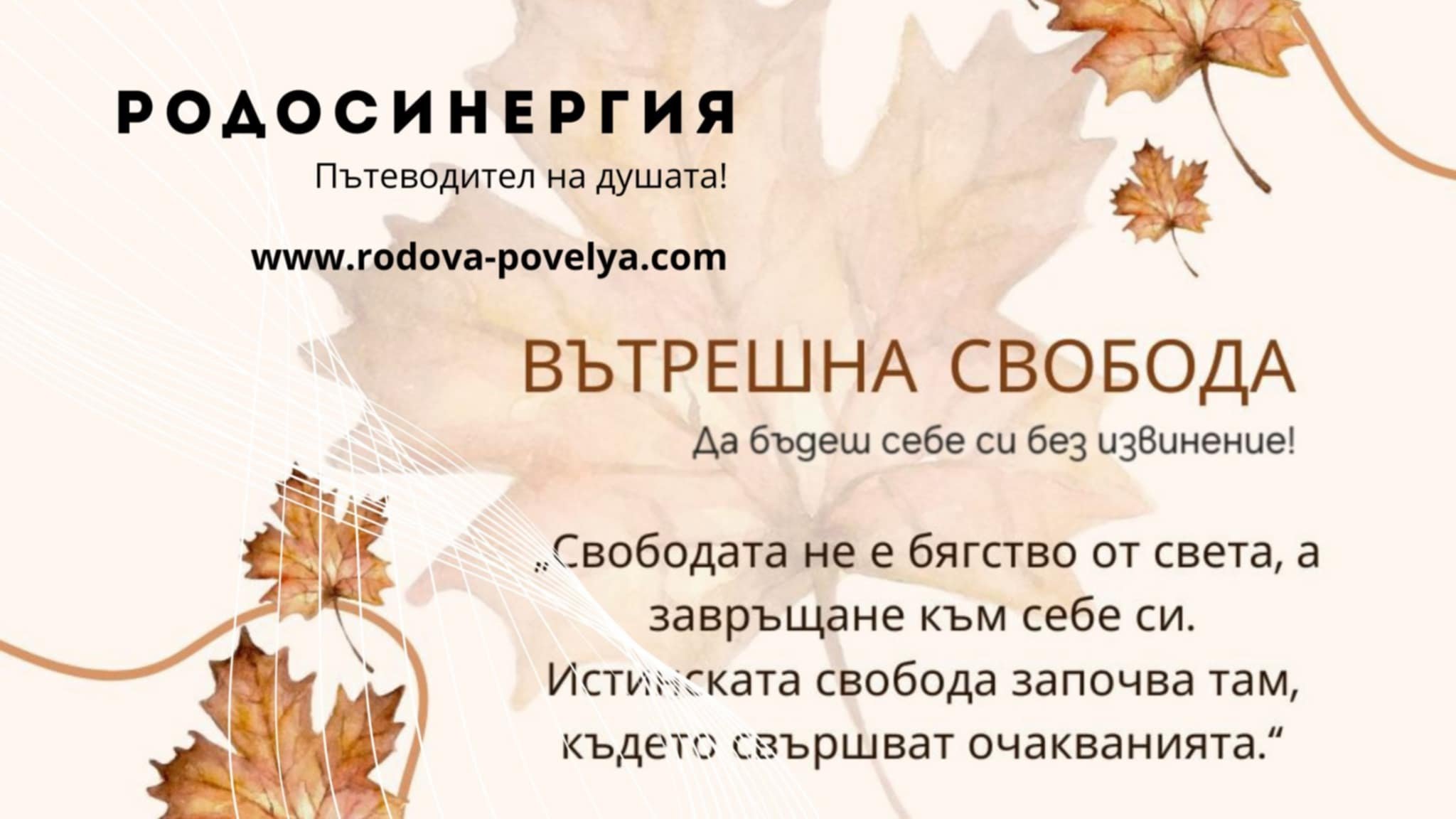 Как можем да работим заедно? | РОДОСИНЕРГИЯ