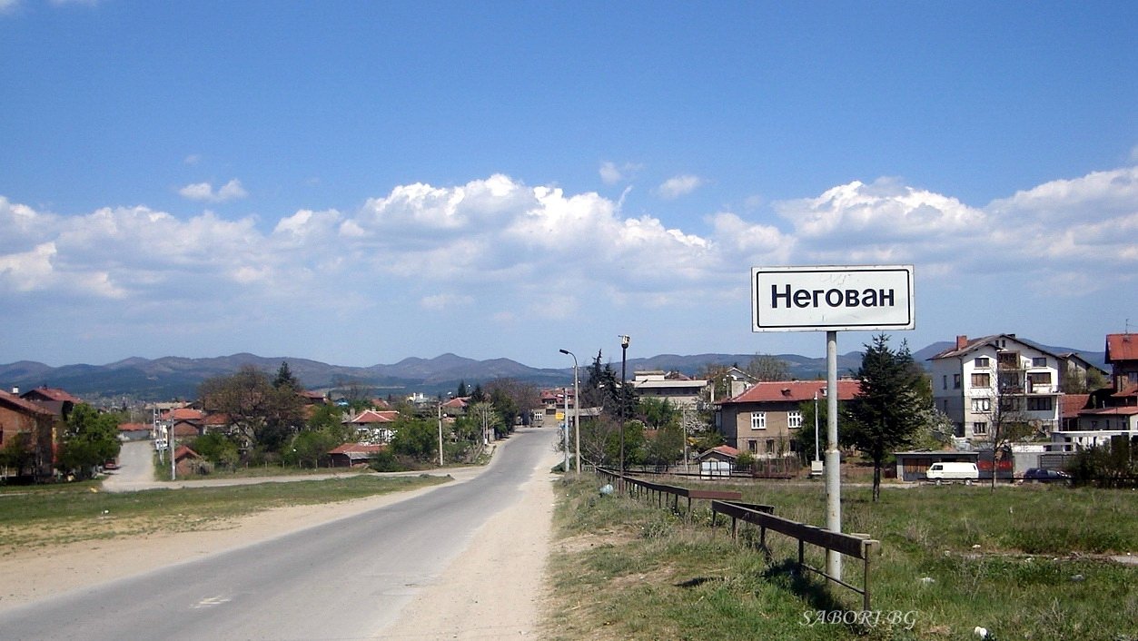 с. Негован