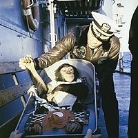 Животни посетили Космоса
