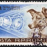 Животни посетили Космоса