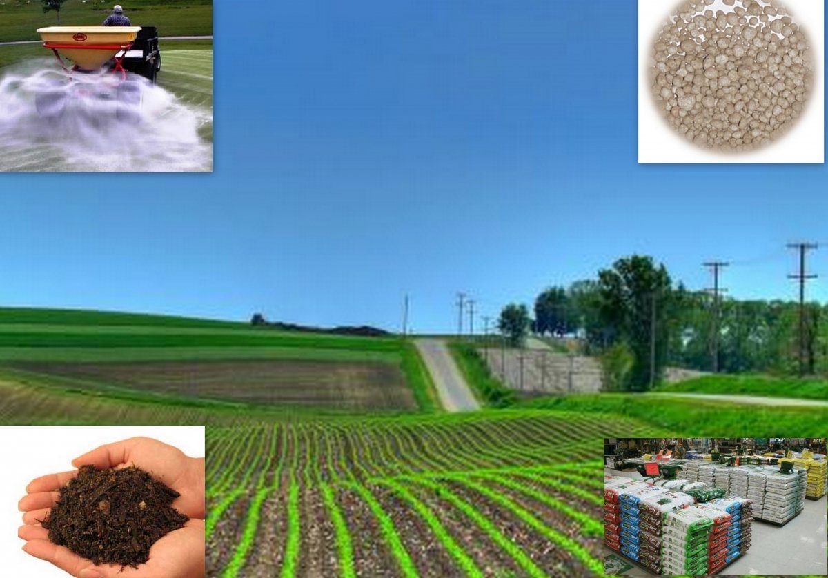 UREA