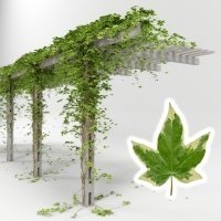 5 растения, които са опасни за вашето куче