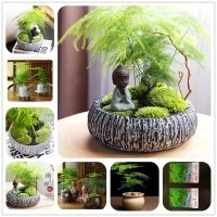 5 растения, които са опасни за вашето куче